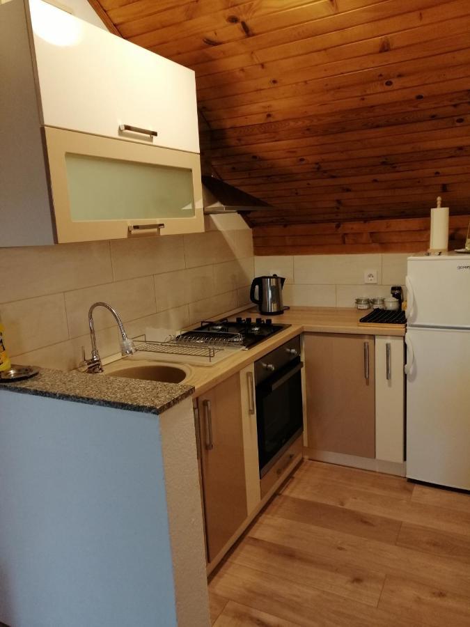 House Mihaela&nina Apartment Seliste Dreznicko Luaran gambar
