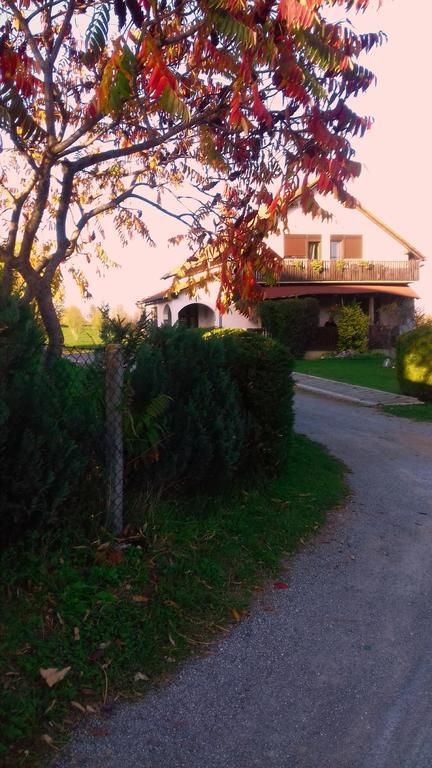 House Mihaela&nina Apartment Seliste Dreznicko Luaran gambar